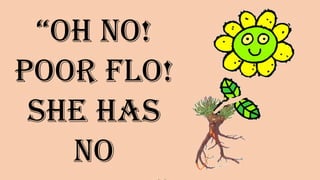 “Oh no!
Poor Flo!
She has no
________”
 