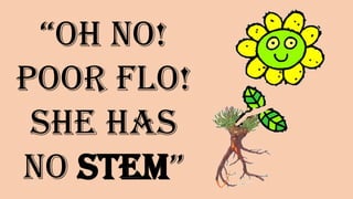 “Oh no!
Poor Flo!
She has no
STEM”
 