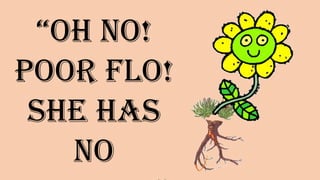 “Oh no!
Poor Flo!
She has no
________”
 