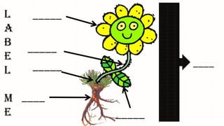 _____
_____
____
_____
_____ ____
L
a
b
e
l
M
e
 