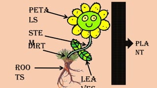 Petals
Stem
Roots
Leaves
Dirt Plant
 