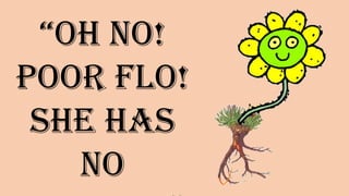“Oh no!
Poor Flo!
She has no
________”
 