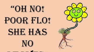 “Oh no!
Poor Flo!
She has no
LEAVES”
 