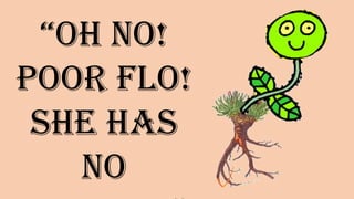 “Oh no!
Poor Flo!
She has no
________”
 