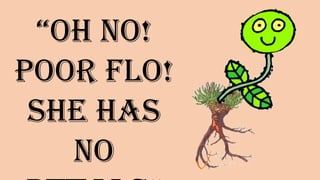 “Oh no!
Poor Flo!
She has no
PETALS”
 