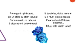 Floare albastra.pptx