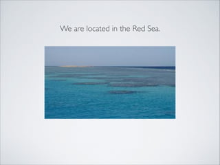 We are located in the Red Sea.