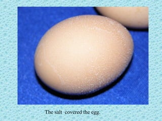 The salt covered the egg.
 
