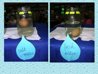 Floating eggs