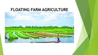 FLOATING FARM AGRICULTURE
 