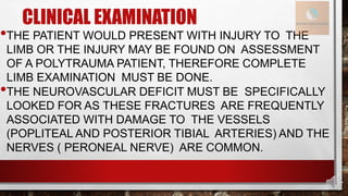 CLINICAL EXAMINATION
•THE PATIENT WOULD PRESENT WITH INJURY TO THE
LIMB OR THE INJURY MAY BE FOUND ON ASSESSMENT
OF A POLYTRAUMA PATIENT, THEREFORE COMPLETE
LIMB EXAMINATION MUST BE DONE.
•THE NEUROVASCULAR DEFICIT MUST BE SPECIFICALLY
LOOKED FOR AS THESE FRACTURES ARE FREQUENTLY
ASSOCIATED WITH DAMAGE TO THE VESSELS
(POPLITEAL AND POSTERIOR TIBIAL ARTERIES) AND THE
NERVES ( PERONEAL NERVE) ARE COMMON.
 