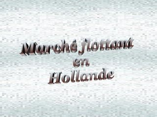 Marché flottant en  Hollande 