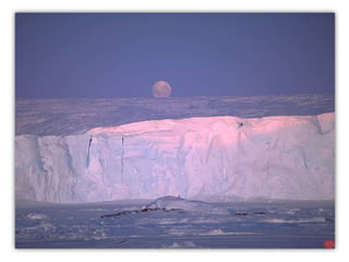 Floating mountains of ice
