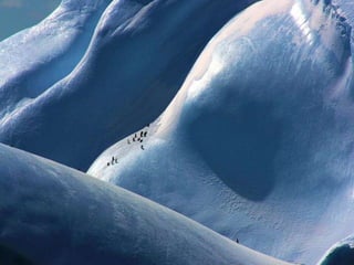Floating mountains of ice