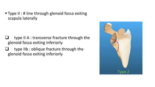  Type II : # line through glenoid fossa exiting
scapula laterally
 type II A : transverse fracture through the
glenoid fossa exiting inferiorly
 type IIb : oblique fracture through the
glenoid fossa exiting inferiorly
 