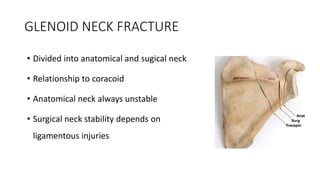 GLENOID NECK FRACTURE
• Divided into anatomical and sugical neck
• Relationship to coracoid
• Anatomical neck always unstable
• Surgical neck stability depends on
ligamentous injuries
 
