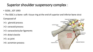 Superior shoulder suspensory complex :
• GOSS , JOT 1993
• The SSSC is a bone -soft- tissue ring at the end of superior and inferior bone strut
Composed of
1- glenoid process
2- coracoid process
3- coracoclavicular ligaments
4- distal clavicle
5- ac joint
6- acromion process
 