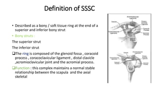 Definition of SSSC
• Described as a bony / soft tissue ring at the end of a
superior and inferior bony strut
• Bony struts :
The superior strut
The inferior strut
The ring is composed of the glenoid fossa , coracoid
process , coracoclavicular ligament , distal clavicle
,acromioclavicular joint and the acromial process.
Function : this complex maintains a normal stable
relationship between the scapula and the axial
skeletal
 