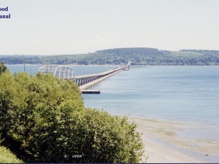 ood 　
anal




        S. 　 UEDA
 