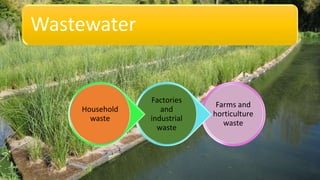 Wastewater
Farms and
horticulture
waste
Factories
and
industrial
waste
Household
waste
 
