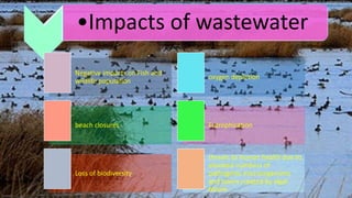 •Impacts of wastewater
Negative impacts on Fish and
wildlife population
oxygen depletion
beach closures Eutrophication
Loss of biodiversity
threats to human health due to
elevated numbers of
pathogenic microorganisms
and toxins created by algal
bloom
 