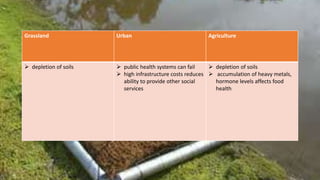 Grassland Urban Agriculture
 depletion of soils  public health systems can fail
 high infrastructure costs reduces
ability to provide other social
services
 depletion of soils
 accumulation of heavy metals,
hormone levels affects food
health
 