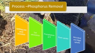 Process –Phosphorus Removal
 