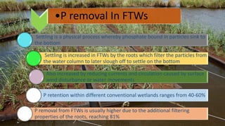 Settling is a physical process whereby phosphate bound in particles sink to
the bottom
Settling is increased in FTWs by the roots which filter the particles from
the water column to later slough off to settle on the bottom
Also increased by reducing currents and circulation caused by surface
wind disturbance or water movements
P retention within different conventional wetlands ranges from 40-60%
P removal from FTWs is usually higher due to the additional filtering
properties of the roots, reaching 81%
•P removal In FTWs
 