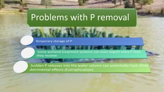Problems with P removal
 