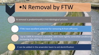 •N Removal by FTW
N removal is predominantly a microbiological process
FTWs have excellent potential for removing N from effluents
Up to 100% N removal is possible, with more tightly controlled conditions
increasing the ability to remove N
C can be added in the anaerobic basin to aid denitrification
 