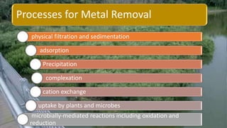 Processes for Metal Removal
physical filtration and sedimentation
adsorption
Precipitation
complexation
cation exchange
uptake by plants and microbes
microbially-mediated reactions including oxidation and
reduction
 