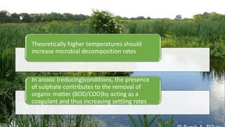 Theoretically higher temperatures should
increase microbial decomposition rates
In anoxic (reducing)conditions, the presence
of sulphate contributes to the removal of
organic matter (BOD/COD)by acting as a
coagulant and thus increasing settling rates
 