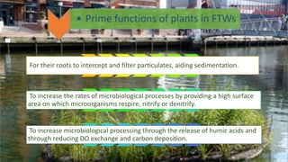 For their roots to intercept and filter particulates, aiding sedimentation.
To increase the rates of microbiological processes by providing a high surface
area on which microorganisms respire, nitrify or denitrify.
To increase microbiological processing through the release of humic acids and
through reducing DO exchange and carbon deposition.
• Prime functions of plants in FTWs
 
