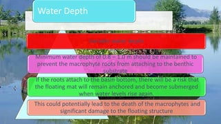 Variable water depth
Minimum water depth of 0.8 – 1.0 m should be maintained to
prevent the macrophyte roots from attaching to the benthic
substrate
If the roots attach to the basin bottom, there will be a risk that
the floating mat will remain anchored and become submerged
when water levels rise again.
This could potentially lead to the death of the macrophytes and
significant damage to the floating structure
Water Depth
 