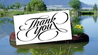 Floating treatment wetland