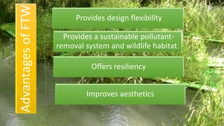 Advantages
of
FTW
Provides design flexibility
Provides a sustainable pollutant-
removal system and wildlife habitat.
Offers resiliency
Improves aesthetics
 