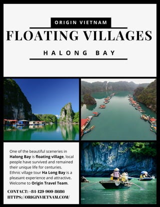 FLOATING VILLAGES
H A L O N G B A Y
O R I G I N V I E T N A M
One of the beautiful sceneries in
Halong Bay is floating village, local
people have survived and remained
their unique life for centuries.
Ethnic village tour Ha Long Bay is a
pleasant experience and attractive.
Welcome to Origin Travel Team.
CONTACT: +84-129-909-8686
HTTPS://ORIGINVIETNAM.COM/
 
