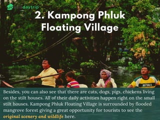 2. Kampong Phluk
Floating Village
Besides, you can also see that there are cats, dogs, pigs, chickens living
on the stilt houses. All of their daily activities happen right on the small
stilt houses. Kampong Phluk Floating Village is surrounded by flooded
mangrove forest giving a great opportunity for tourists to see the
original scenery and wildlife here.
 