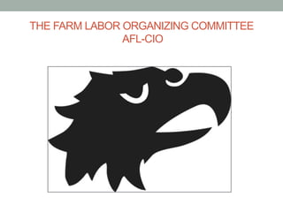 THE FARM LABOR ORGANIZING COMMITTEE
AFL-CIO