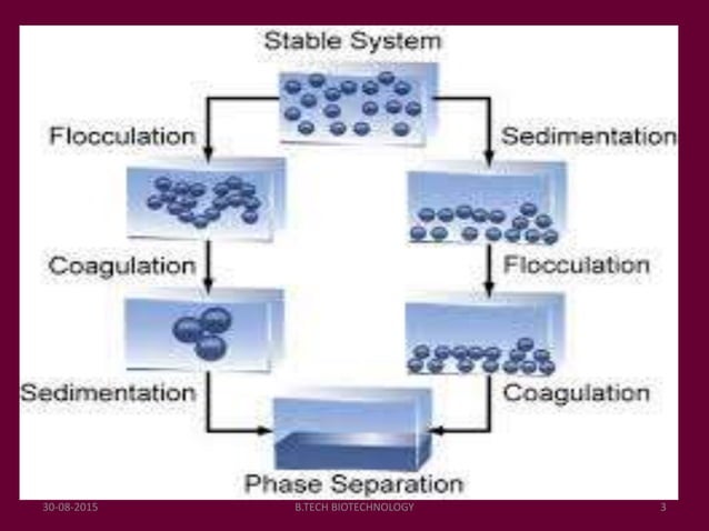 Flocculation & Sedimentation | PPTX | Geology | Science
