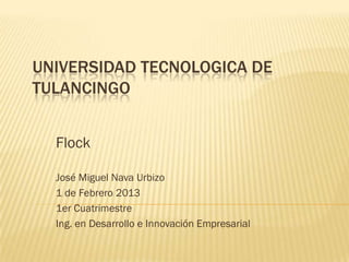 UNIVERSIDAD TECNOLOGICA DE
TULANCINGO


  Flock

  José Miguel Nava Urbizo
  1 de Febrero 2013
  1er Cuatrimestre
  Ing. en Desarrollo e Innovación Empresarial
 