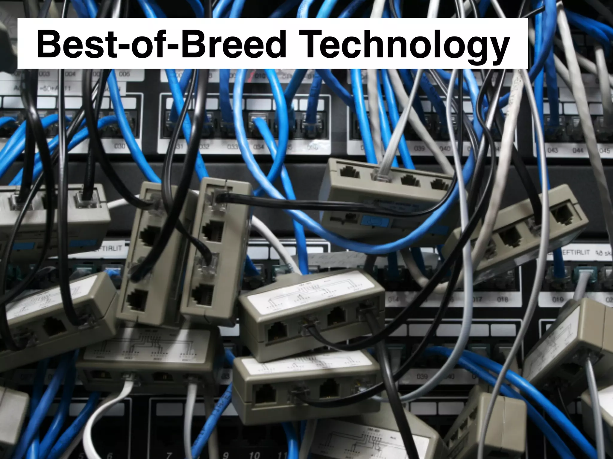 FlockdUp: Maverick Networking for Thought Leaders