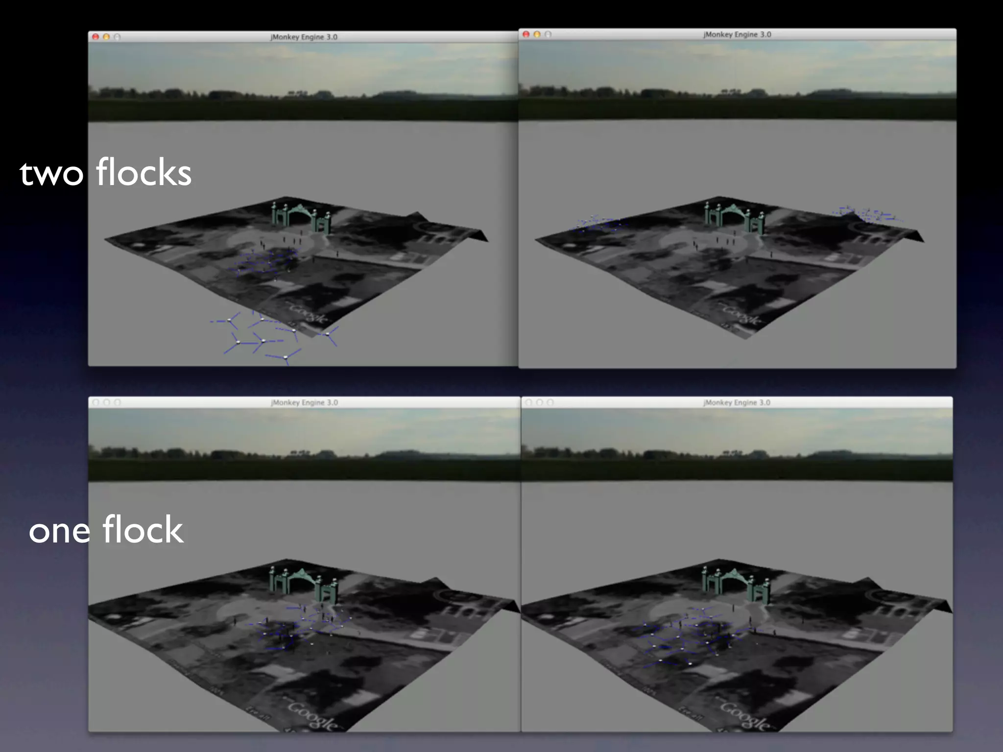 two ﬂocks
one ﬂock
 