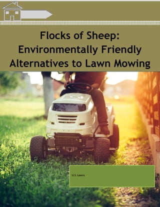 Flocks of Sheep:
Environmentally Friendly
Alternatives to Lawn Mowing
U.S. Lawns
 
