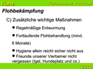 Tierambulanz VorchdorfTierambulanz Vorchdorf
20152015
FlohbekämpfungFlohbekämpfung
C)C) Zusätzliche wichtige MaßnahmenZusätzliche wichtige Maßnahmen
Regelmäßige EntwurmungRegelmäßige Entwurmung
Fortlaufende Flohbehandlung (mind.Fortlaufende Flohbehandlung (mind.
6 Monate)6 Monate)
Hygiene allein reicht sicher nicht ausHygiene allein reicht sicher nicht aus
Freunde unserer Vierbeiner nichtFreunde unserer Vierbeiner nicht
vergessen (Igel, Hundeplatz und co.)vergessen (Igel, Hundeplatz und co.)
FloheFlohe
 