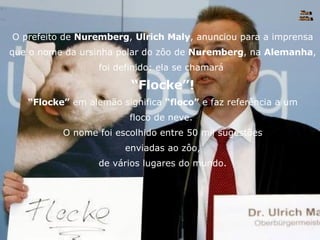 O prefeito de  Nuremberg ,  Ulrich Maly , anunciou para a imprensa que o nome da ursinha polar do zôo de  Nuremberg , na  Alemanha , foi definido: ela se chamará  “ Flocke”! “ Flocke”  em alemão significa  “floco”  e faz referência a um floco de neve.  O nome foi escolhido entre 50 mil sugestões enviadas ao zôo, de vários lugares do mundo. Nura Slides 