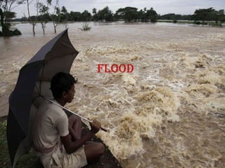 flood
 