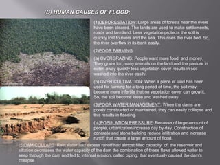 (B) HUMAN CAUSES OF FLOOD:(B) HUMAN CAUSES OF FLOOD:
(1)DEFORESTATION: Large areas of forests near the rivers
have been cleared. The lands are used to make settlements,
roads and farmland. Less vegetation protects the soil is
quickly lost to rivers and the sea. This rises the river bed. So,
the river overflow in its bank easily.
(2)POOR FARMING:
(a) OVERGRAZING: People want more food and money.
They graze too many animals on the land and the pasture in
eaten away quickly less vegetation cover results in soil
washed into the river easily.
(b) OVER CULTIVATION: When a piece of land has been
used for farming for a long period of time, the soil may
become more infertile that no vegetation cover can grow it.
So, the soil become loose and washed away.
(3)POOR WATER MANAGEMENT: When the dams are
poorly constructed or maintained, they can easily collapse and
this results in flooding.
( 4)POPULATION PRESSURE: Because of large amount of
people, urbanization increase day by day. Construction of
concrete and stone building reduce infiltration and increase
runoff that create a large amount of flood.
(5)DAM COLLAPS: Rain water and excess runoff had almost filled capacity of the reservoir and
siltation decreases the water capacity of the dam the combination of these flaws allowed water to
seep through the dam and led to internal erosion, called piping, that eventually caused the dam's
collapse.
 