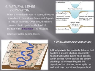 When a river floods over its banks, the water
spreads out , then slows down, and deposits
its load of sediment. Over time, the river's
banks are built up above the level of
the rest of the floodplain. The resulting
ridges are called natural levees.
A floodplain is the relatively flat area that
borders a stream which is periodically
flooded with water during flood periods.
When excess runoff causes the stream
discharge to increase beyond the
capacity of the channel, water spills out
and sediment deposit on the plain land.
7. FORMATION OF FLOOD PLAIN:
 