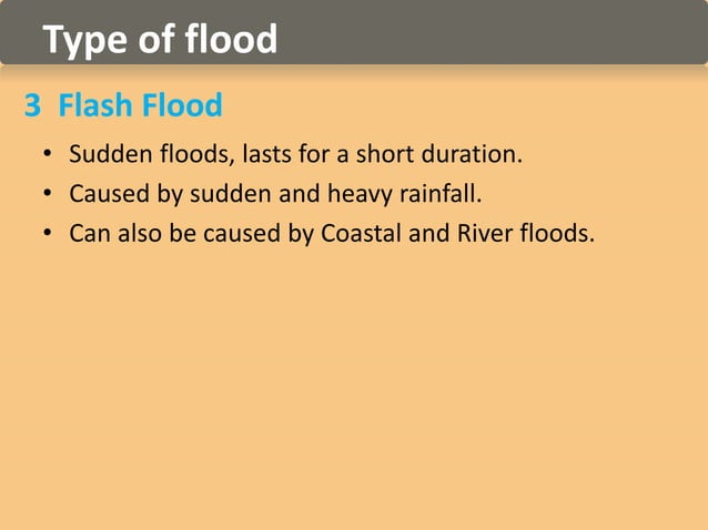 case study of flood management